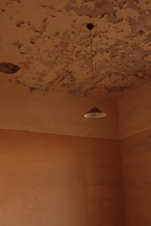 Plafond met waterschade en beschadigd stucwerk in een Tilburgse woning
