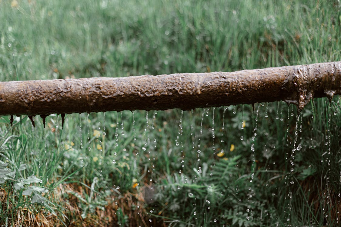 Water dat door een plafond druipt bij een ernstige lekkage